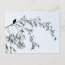 Recherche de oiseaux noirs cartes postales Feuille