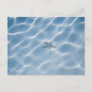 Search for water ripples postcards Animal