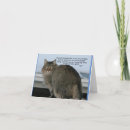 Search for rainbow bridge cat poem Pet loss