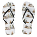 Search for alpaca shoes Llama