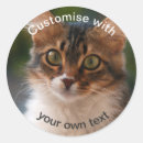 Recherche de yeux verts de chat autocollants Moelleux