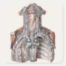 Search for vintage nurse stickers Healthcare