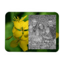 Recherche de joli magnets Fleur sauvage