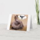 Search for hare christmas cards Funny