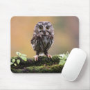 Recherche de hibou bébé tapis souris Oiseau