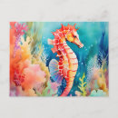 Search for coral reef life postcards Aquatic