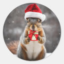 Search for christmas squirrel stickers Animal
