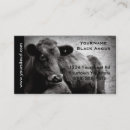 Recherche de angus noir cartes visite Ferme