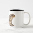 Recherche de crapaud tasses Animaux