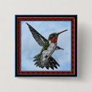 Search for ruby throated hummingbird buttons Animal