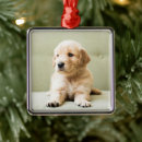 Search for couch ornaments Dog
