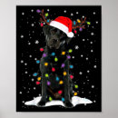 Search for coupon book Xmas offer today