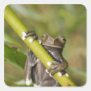 Search for captive stickers Nature