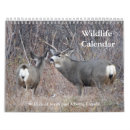 Search for wildlife calendars Nature photography