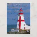 Search for campobello island postcards Julie eggers