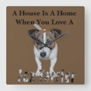 Recherche de terriers horloges Animal