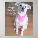 Search for funny birthday posters Puppy