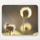 Search for ladybug mousepads Garden