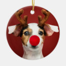 Search for jack russel terrier ornaments Santa