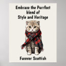 Search for fold posters Kitten