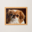 Search for cuddly puzzles Animal