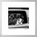 Recherche de terrier photographie Mignon
