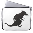 Recherche de rat coques Rongeur