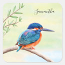 Search for kingfisher stickers Watercolor