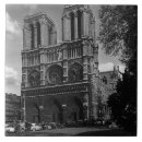 Recherche de cathédrale de notre dame carreaux Paris