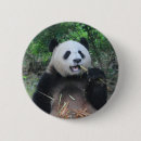 Search for panda bear accessories Giant