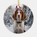 Search for brittany spaniel ornaments Puppy