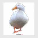 Search for animal photo stickers Wildlife
