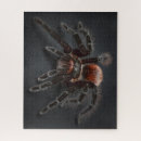 Search for cool puzzles Fun