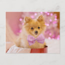 Recherche de chiot de vacances cartes postales Avec