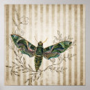 Recherche de vintage moth posters Nature