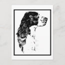 Search for springer postcards Animal