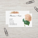 Recherche de hortensia rose cartes visite Botanique