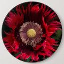 Search for wild flowers buttons Poppy