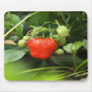 Search for strawberry mousepads Red