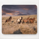 Recherche de chevaux sauvages tapis souris Ferme