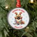 Search for pekingese ornaments Cute