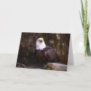 Search for eagle thank you cards Wildlife