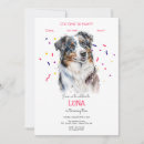 Search for australian shepherd birthday postcards Pets