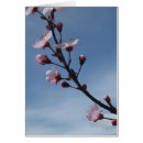 Recherche de arbre fleurissant rose Nature
