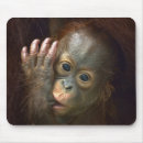 Recherche de orang outan tapis souris Singe