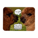 Search for alpaca magnets Humour