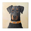 Recherche de dobermann carreaux Pour tous