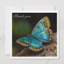 Search for x wing thank you cards Butterfly