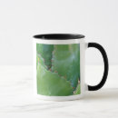Search for sonora mugs Southwest