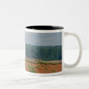 Search for red house mugs Scenic